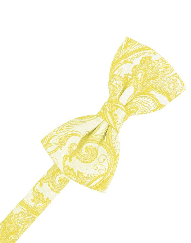 Sunbeam Tapestry Bowtie