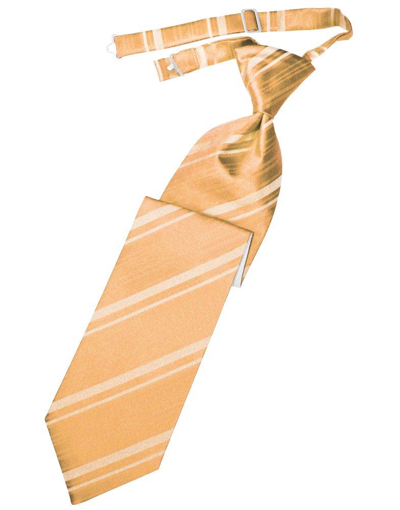Apricot Striped Satin Long Tie